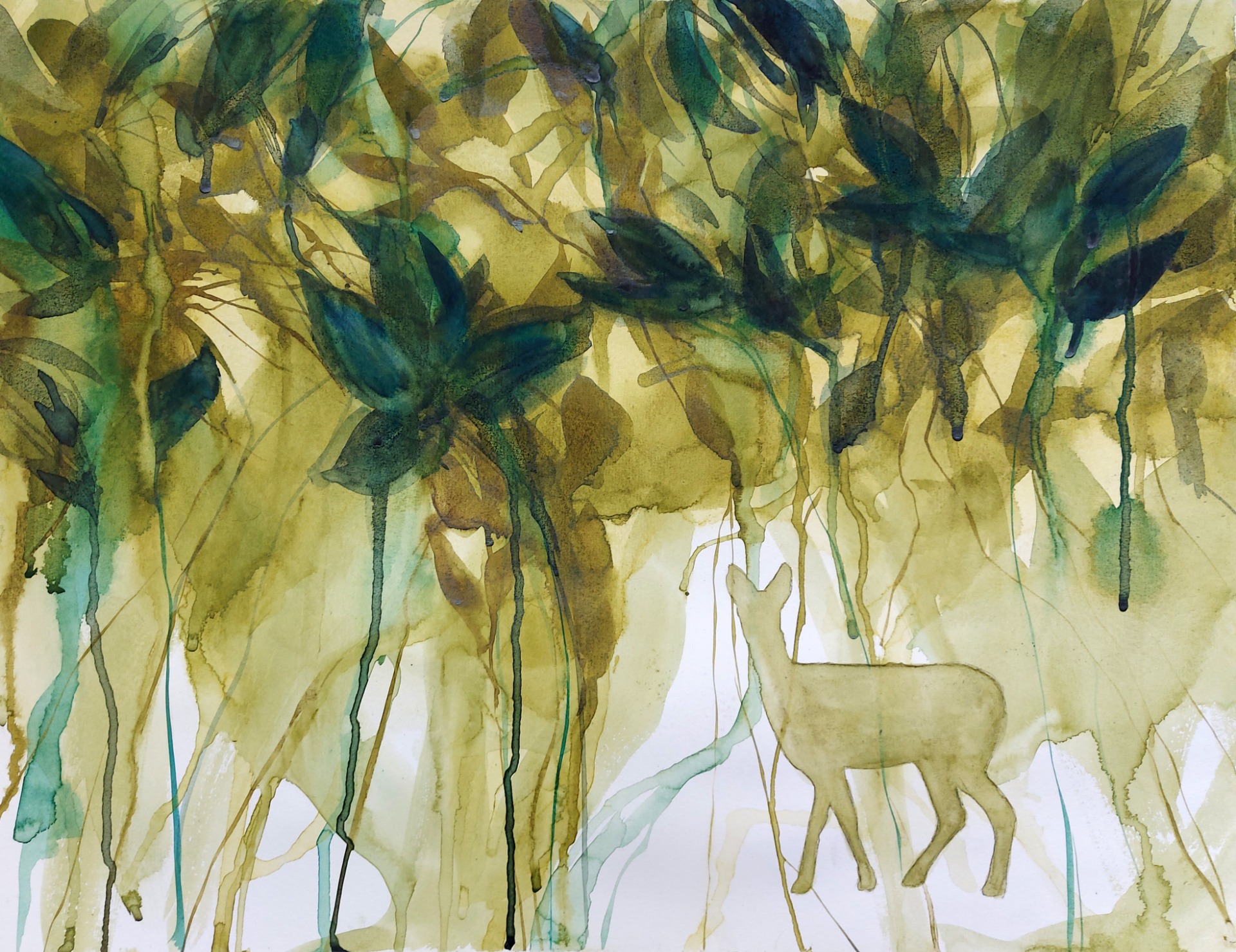 Puutarhani vierailijat 